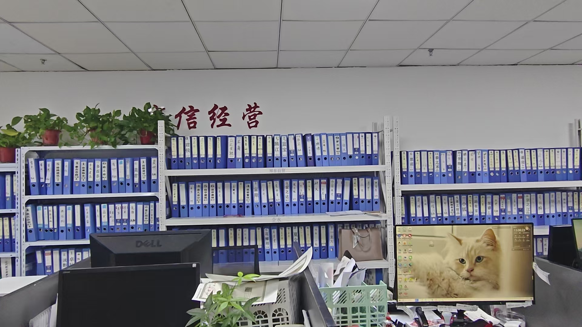 金算珠器械许可证咨询服务规模怎么样(图2)