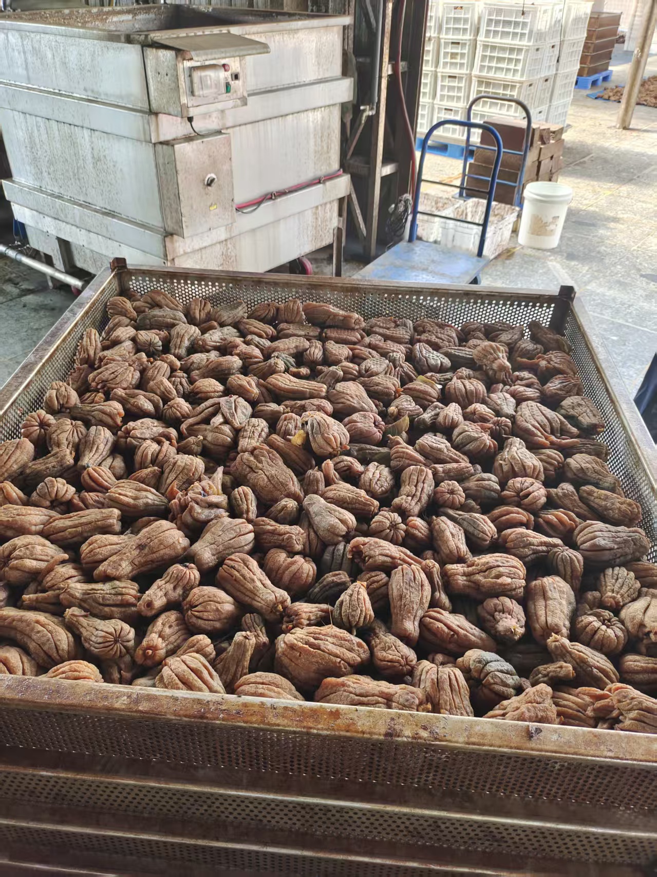 老香橼厂家推荐避坑指南 价格透明与口碑实力双测评 商户优选(图3)