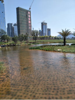 双面针刺型钠基膨润土防水毯性价比怎么样(图2)