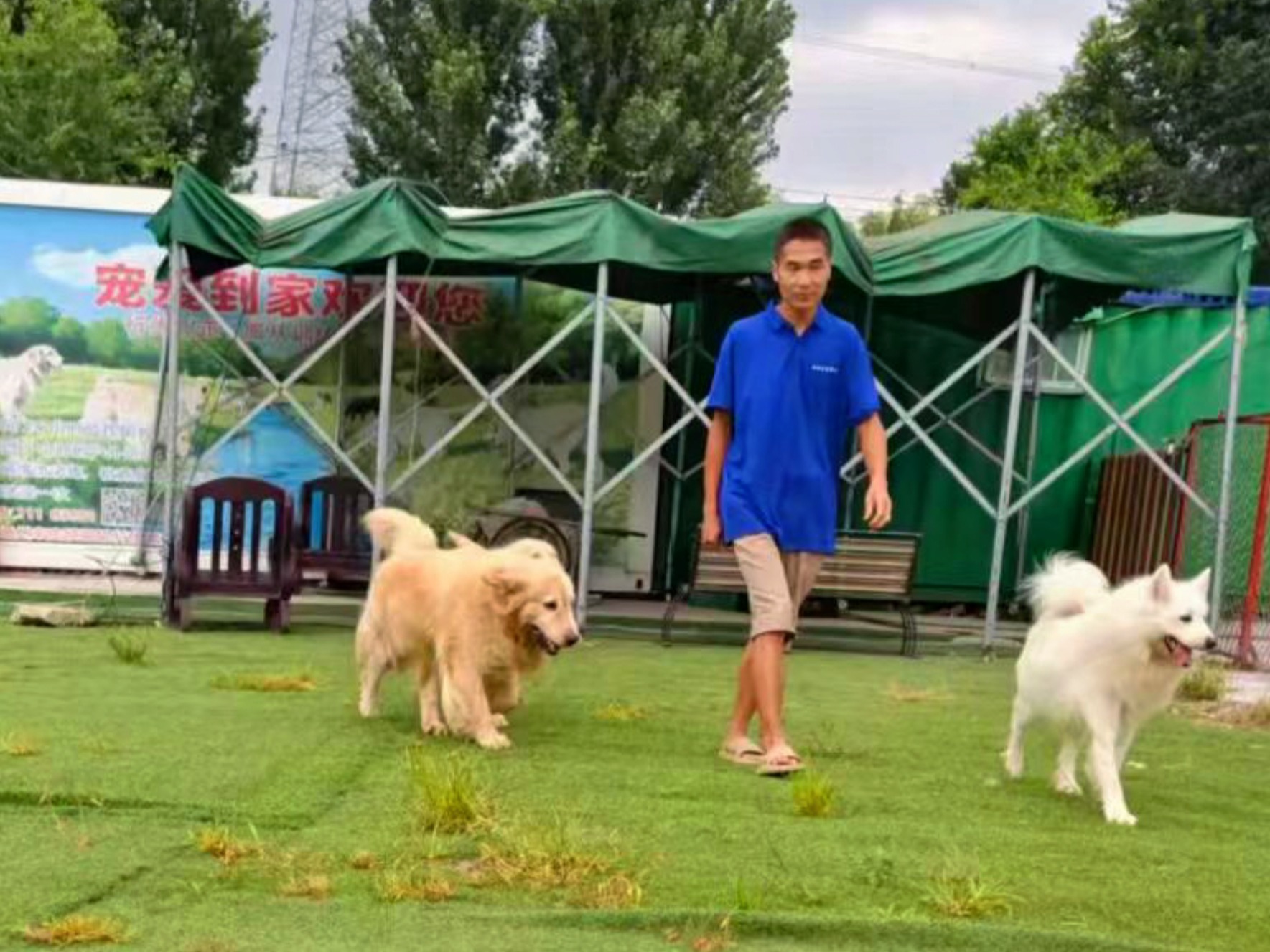 北京宠物代养口碑店,固安区域可接送,宠爱到家支持节假日不涨价(图2)