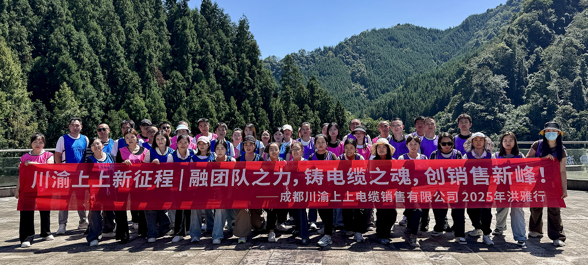 川渝上上电线电缆销售公司 控制项目线缆正品现货厂家实力参考(图3)