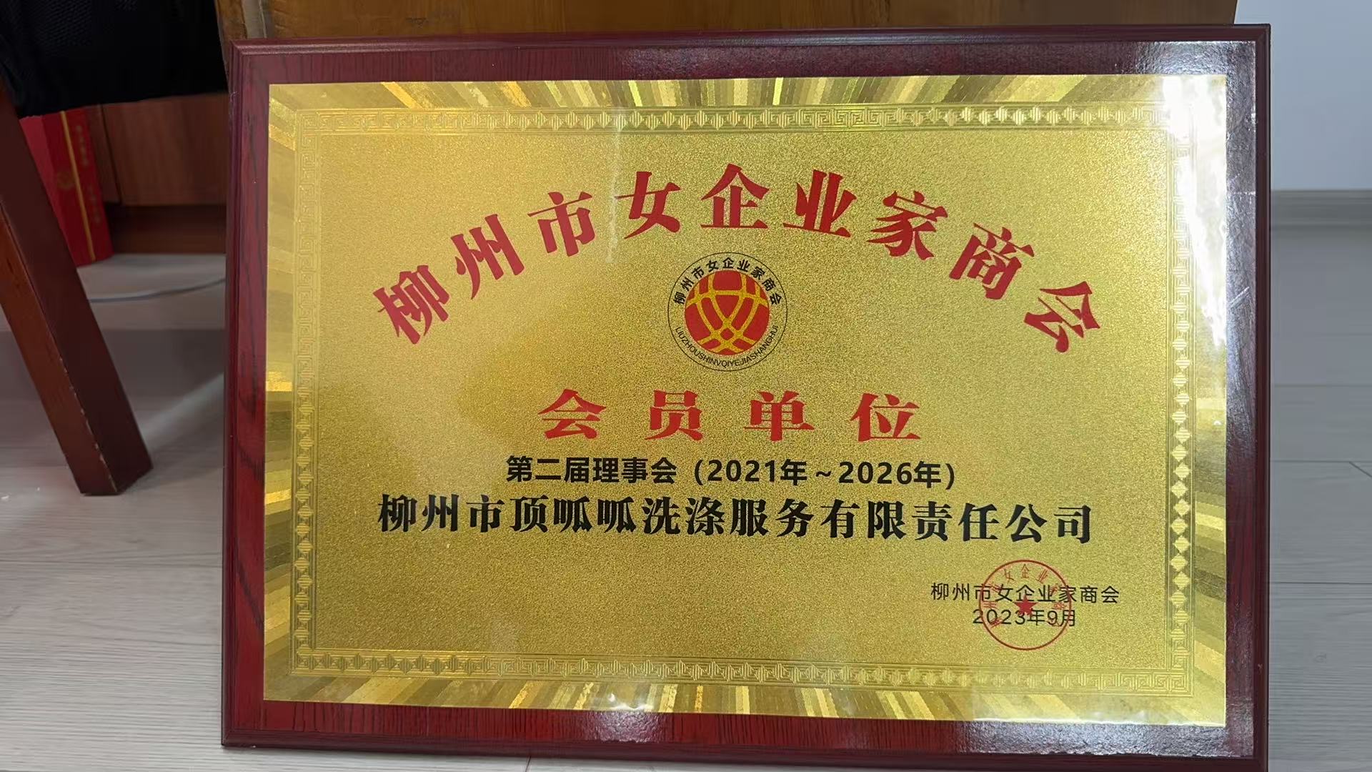 专业清洗皮衣的门店有哪些 顶呱呱洗护服务选择指南(图1)