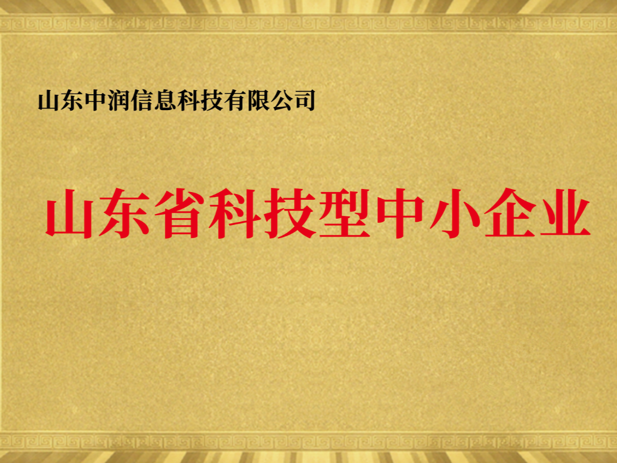 山东中润信息科技有限公司专业吗，技术实力如何(图2)