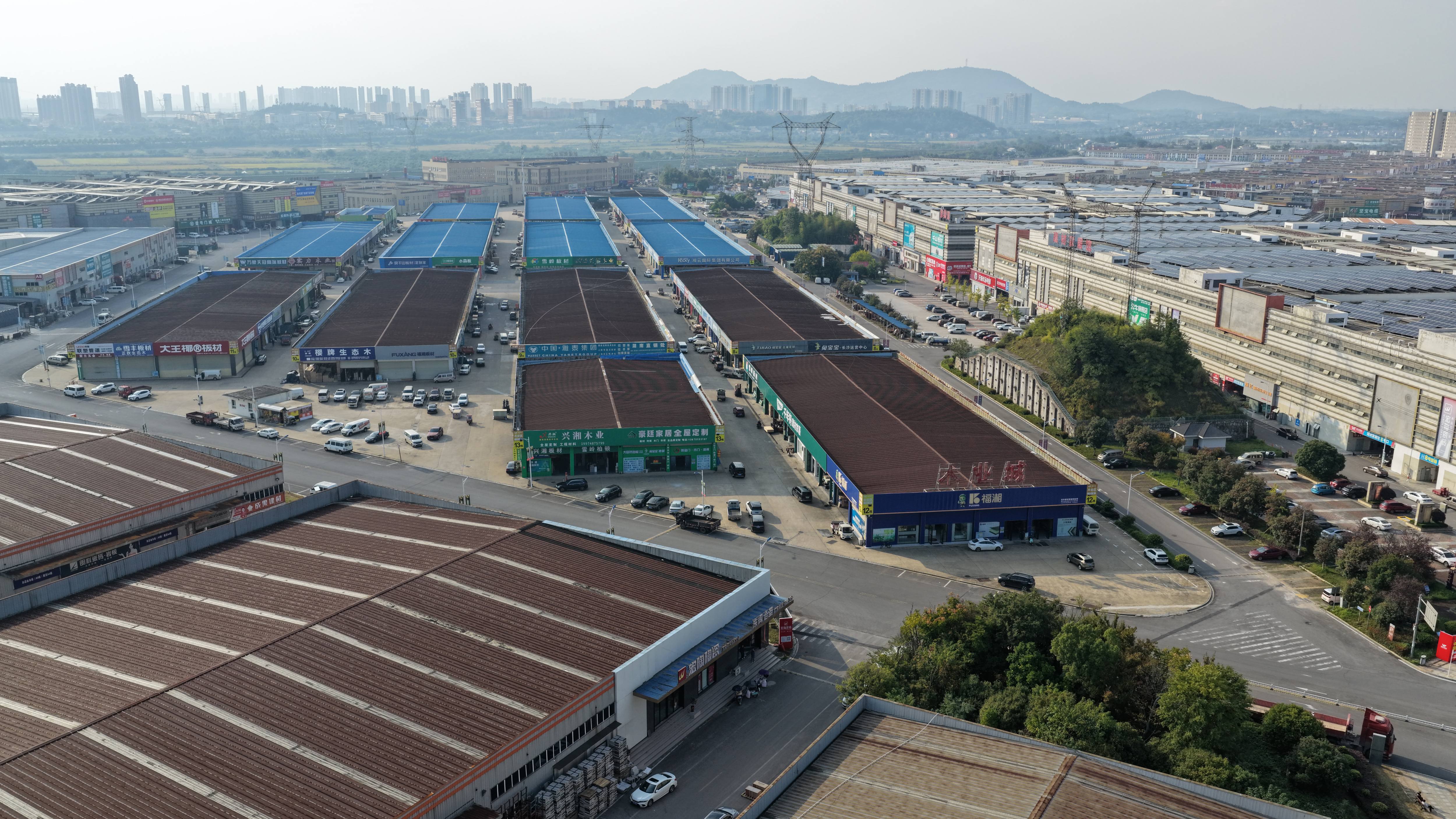 长沙哪里买绿植好?湾田国际苗木市场门店直供,价格公道不踩坑(图2)