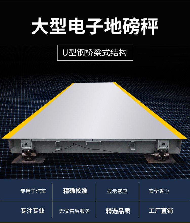 耐腐蚀汽车衡厂家直供，大树精工SCS系列数字地磅支持化工园区恶劣环境(图2)