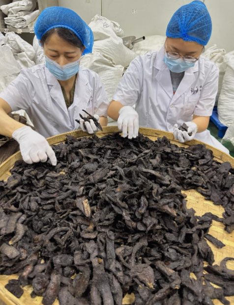 2026健康减脂膏实力测评榜单，口碑好的商家照着选不踩坑，价格透明更放心